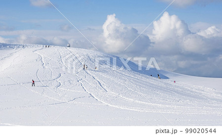 鳥取砂丘の雪景色 鳥取砂丘の雪景色 99020544
