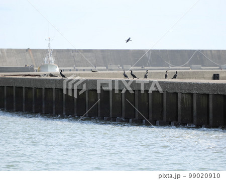 大原散策 大原散策 99020910