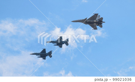 航空自衛隊F-2&インド空軍スホーイSu-30MKI編隊 99021036