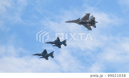 航空自衛隊F-2&インド空軍スホーイSu-30MKI編隊 99021038