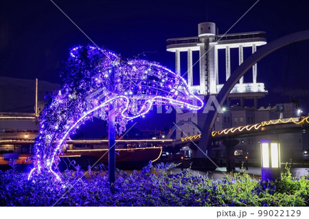 名古屋市 名古屋港のイルカ形のイルミネーション 名古屋市 名古屋港のイルカ形のイルミネーション 99022129