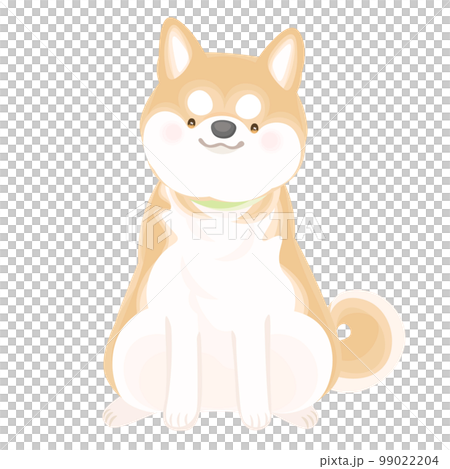 柴犬坐著 柴犬坐著 99022204