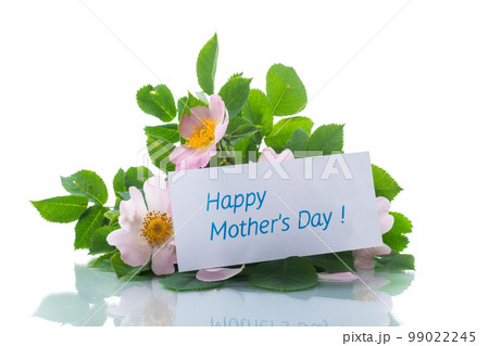 small bouquet of wild rosehip flowers on white background. 99022245