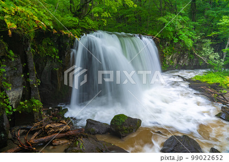 奥入瀬渓流 奥入瀬川 銚子大滝(青森県) 奥入瀬渓流 奥入瀬川 銚子大滝(青森県) 99022652