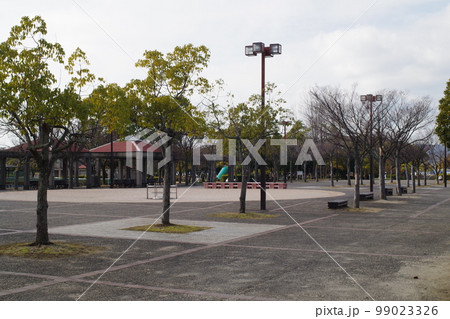 冬の玉島の森の景色 99023326