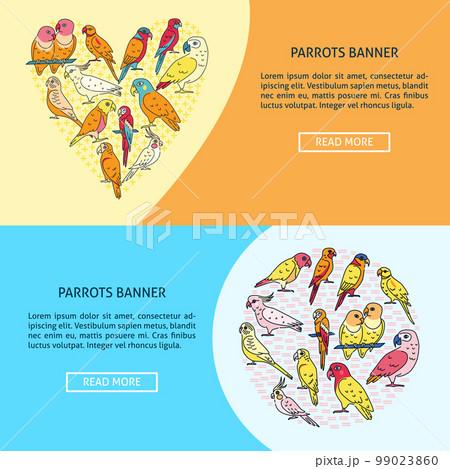 Bright parrots flyer templates in flat style 99023860