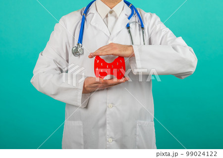 Male doctor holding mockup thyroid gland. Help and care concept 99024122