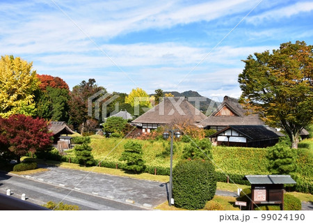 足利市 紅葉樹木に覆われた足利学校全景 足利市 紅葉樹木に覆われた足利学校全景 99024190