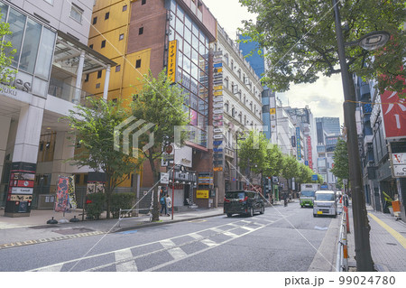 東京都新宿区の観光地を道路から見るイラスト風景 99024780