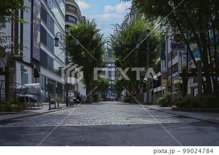 東京都新宿区の観光地を道路から見るイラスト風景 99024784