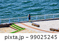 夏の海浜ランナー 99025245