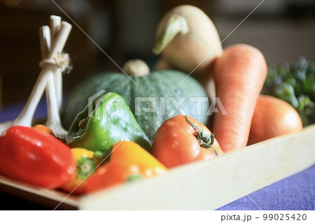 新鮮な野菜  99025420