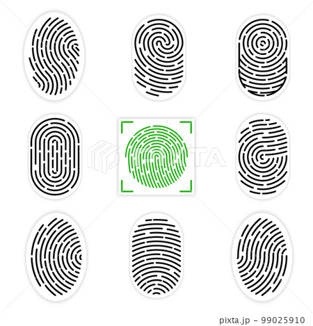 Set of vector illustrations of security fingerprint authentication. Finger identity, technology biometric illustration. Fingerprint template collection 99025910