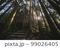 林 森 樹林 99026405