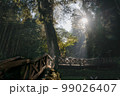 林 森 樹林 99026407