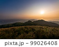 牧草地 放牧 放牧場 99026408