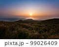 牧草地 放牧 放牧場 99026409