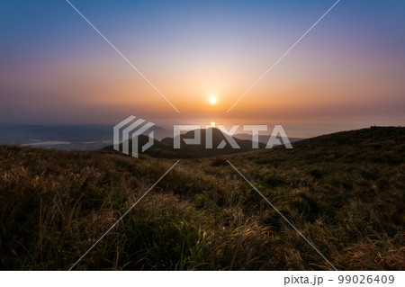 牧草地 放牧 放牧場 99026409