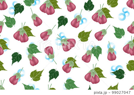 Illustration of Abutilon pictum flower with leaves on blue circle background. Illustration of Abutilon pictum flower with leaves on blue circle background. 99027047
