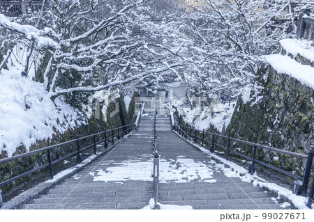 清水寺　音羽の滝へ向かう長い石階段　見事な雪景色 99027671