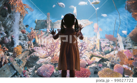 Young smart Asian kid girl stand look in fish tank at undersea aquarium, silhouette back rear view 99027722