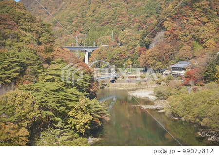 日光 川治温泉の紅葉 栃木県 99027812