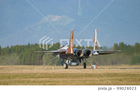 滑走路へ向かう航空自衛隊の戦闘機F-15DJ 滑走路へ向かう航空自衛隊の戦闘機F-15DJ 99028023