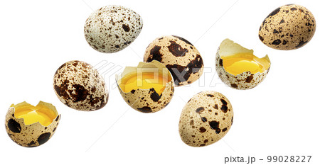 Falling quail eggs isolated on white background Falling quail eggs isolated on white background 99028227