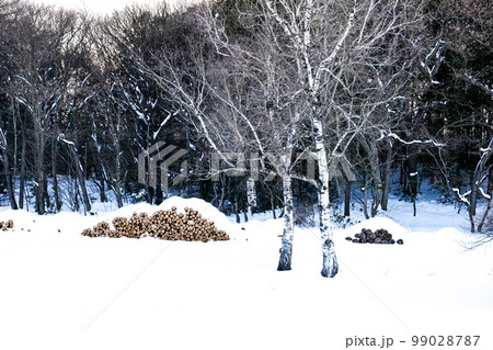 写真 小岩井農場の森林事業 環境を考えた小岩井農場の森林事業 写真 小岩井農場の森林事業 環境を考えた小岩井農場の森林事業 99028787