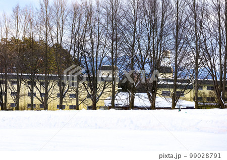 写真 木立の中に見え隠れする黄色い建物 写真 木立の中に見え隠れする黄色い建物 99028791