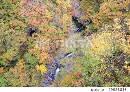 上から眺める紅葉と川の流れ(中津川渓谷 福島県 裏磐梯) 上から眺める紅葉と川の流れ(中津川渓谷 福島県 裏磐梯) 99028853