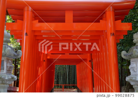 鳥居（針名神社　愛知県 名古屋市） 99028875