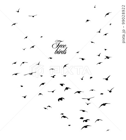 A flock of flying birds. Free birds. Vector illustration A flock of flying birds. Free birds. Vector illustration 99028922