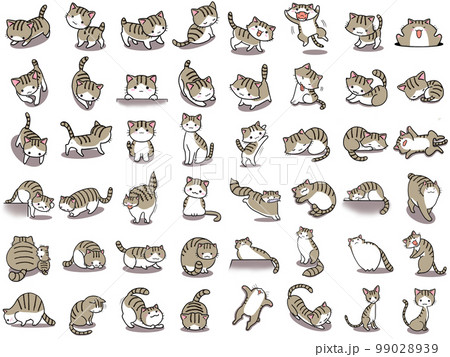【セット】キジトラ白ネコのかわいいイラスト/48匹 99028939
