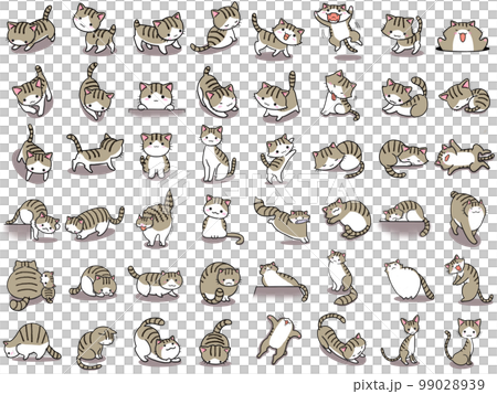【セット】キジトラ白ネコのかわいいイラスト/48匹 99028939