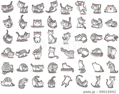 【セット】サバトラ白ネコのかわいいイラスト/48匹 99028942