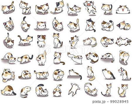 【セット】ミケネコのかわいいイラスト/48匹 【セット】ミケネコのかわいいイラスト/48匹 99028945