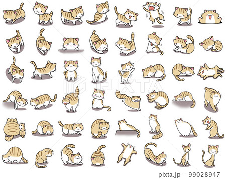 【セット】茶トラ白ネコのかわいいイラスト/48匹 99028947