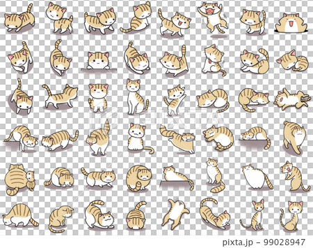 【セット】茶トラ白ネコのかわいいイラスト/48匹 99028947