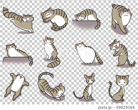 【套裝】白虎斑貓可愛插畫④/12只 【套裝】白虎斑貓可愛插畫④/12只 99029168