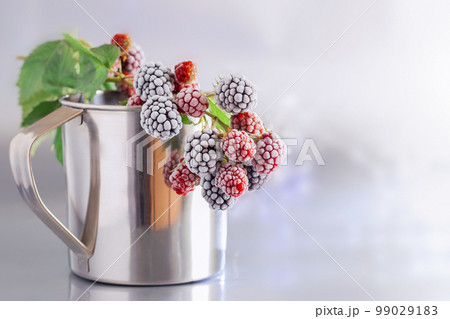 Blackberries in the snow. Delicious frozen blackberries in a metal mug. Background of BlackBerry, close-up. Blackberries in the snow. Delicious frozen blackberries in a metal mug. Background of BlackBerry, close-up. 99029183