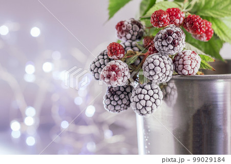 Blackberries in the snow. Delicious frozen blackberries in a metal mug. Background of BlackBerry, close-up. 99029184