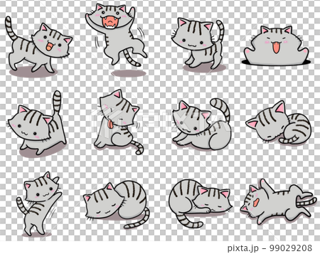 [Set] Cute illustrations of mackerel cats (3) / 12 animals 99029208