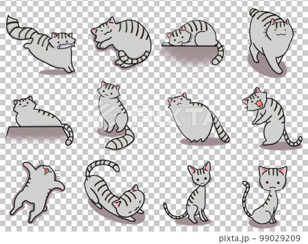 【套】鯖魚貓可愛插畫④/12只 99029209