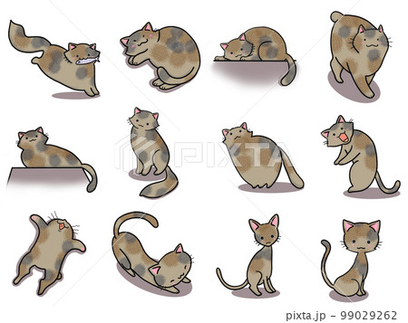 【セット】サビネコのかわいいイラスト④/12匹 99029262