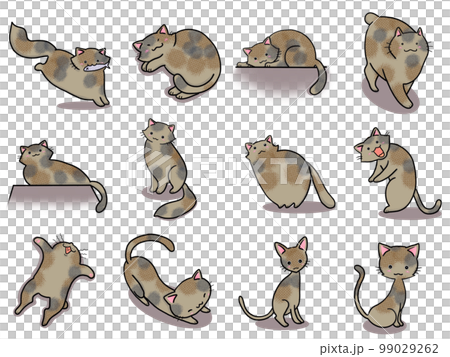 【セット】サビネコのかわいいイラスト④/12匹 99029262