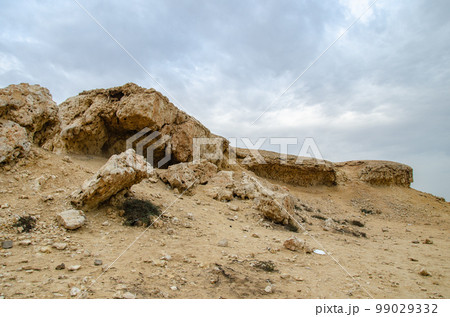 Limestone hillocks at Purple Island at Al Khor in Qatar Limestone hillocks at Purple Island at Al Khor in Qatar 99029332