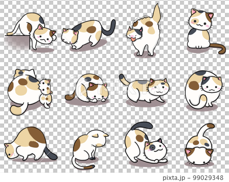 [Set] Cute illustrations of Mikeneko (1) / 12 animals 99029348