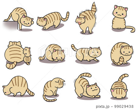 【セット】茶トラネコのかわいいイラスト②/12匹 99029438