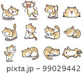 【セット】茶トラ白ネコのかわいいイラスト③/12匹 99029442